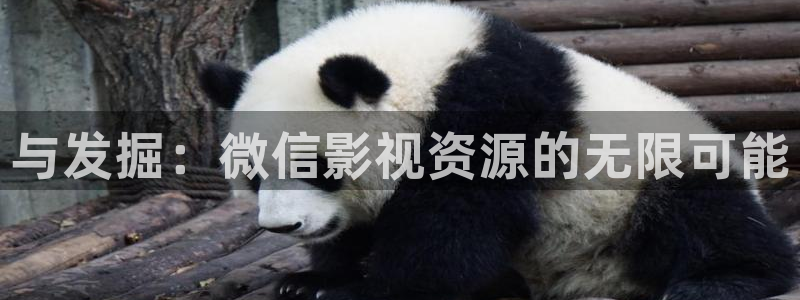 丝瓜影院在线看