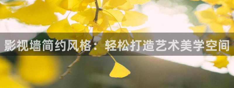 丝瓜络子：影视墙简约风格：轻松打造艺术美学空间